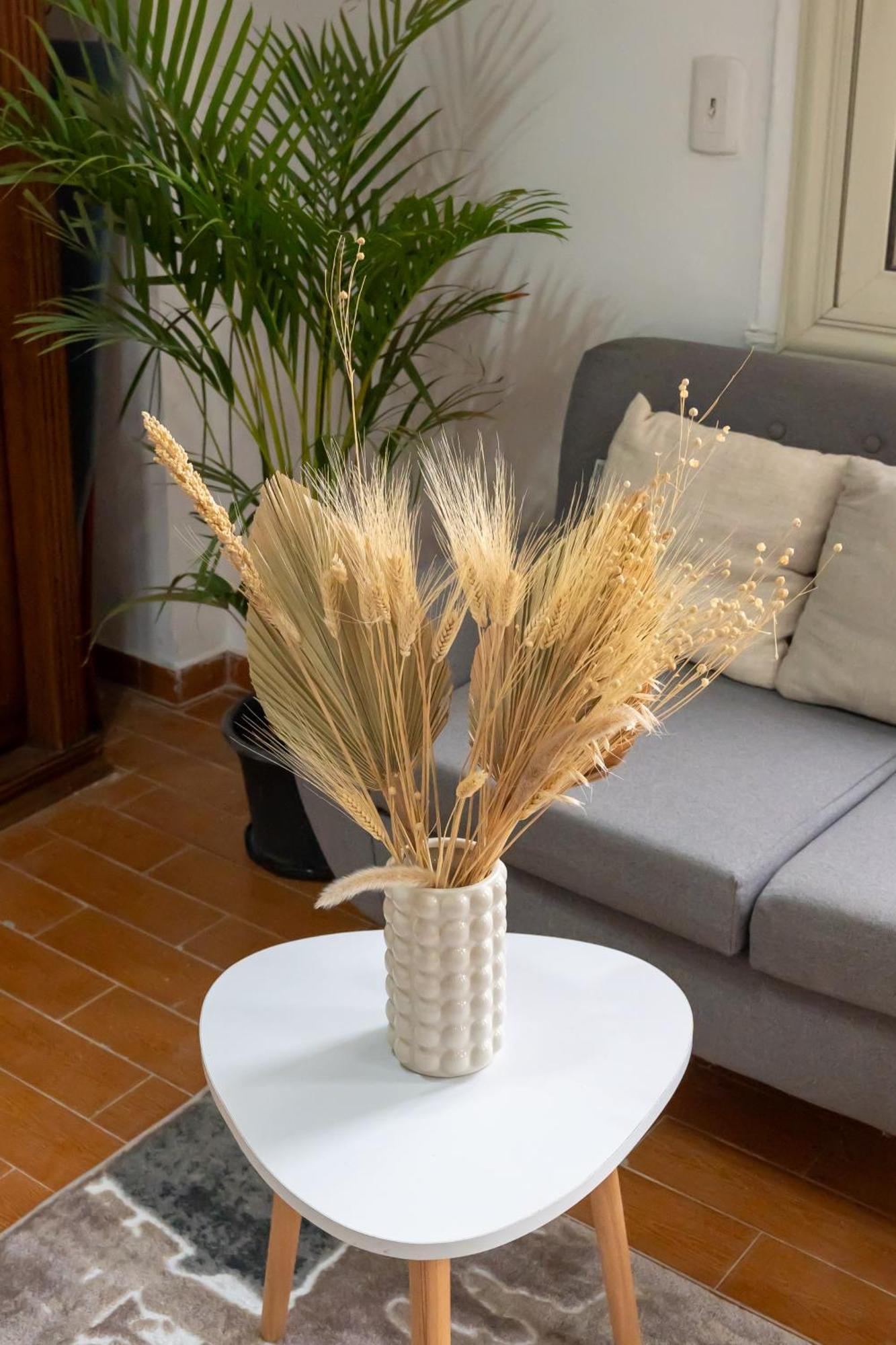 Gemuetliche Mit Nilblick Und Smart-tv In Zamalek Apartamento *